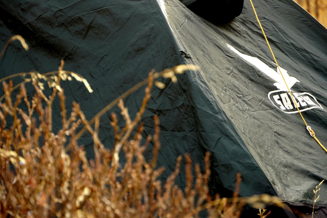 Photo by Manuel Fröhlich a tent with a sticker on the side of it